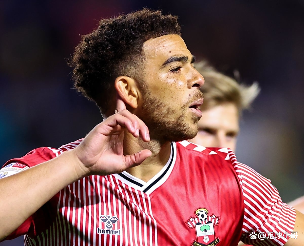 南安普顿中场表现抢眼，成为球队关键人物的简单介绍