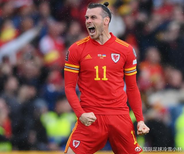 开云体育-包含奥地利国家队士气高涨，力争前进的词条