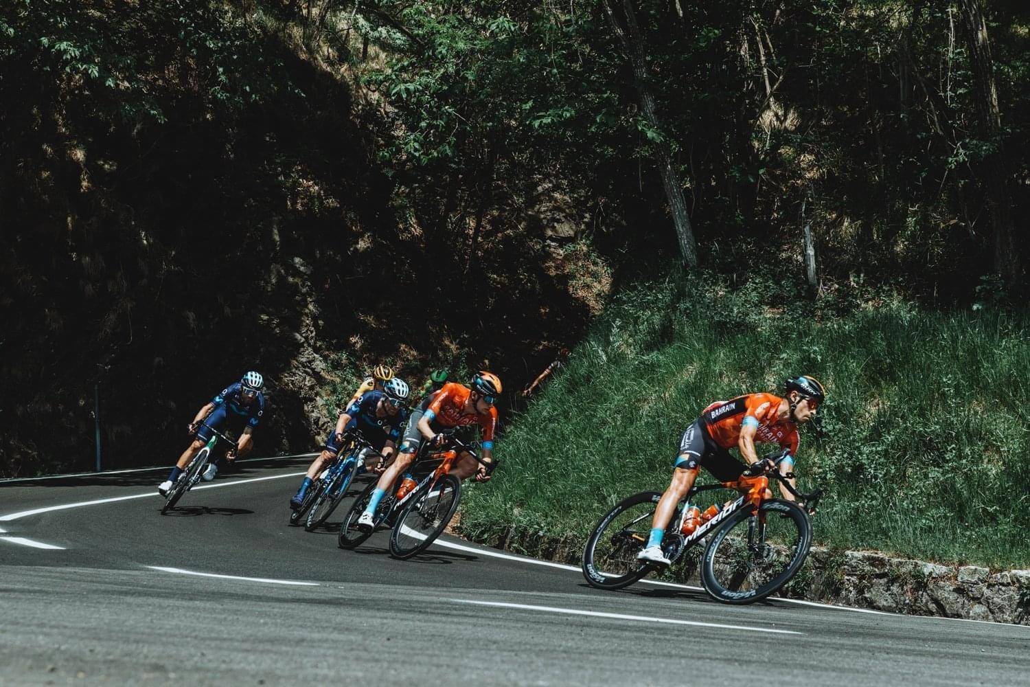 开云体育登录-比利时队备战波兰，阿扎尔带队争取胜利的简单介绍